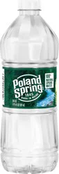 Poland Spring 20-fl oz Spring Bottled Water