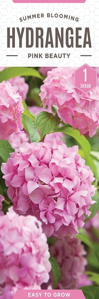 slide 1 of 1, Charlie's Produce Pink Beauty Hydrangea, 1 ct