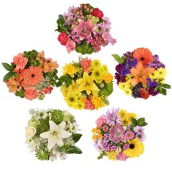 Central Market Petite Signature Bouquet