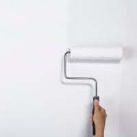 slide 15 of 29, Rustoleum Rust-Oleum Sure Color Wall Paint Alpine White, 1 gal