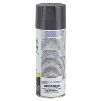 slide 5 of 9, Rust-Oleum Painters Touch 2x Ultra Cover Spray Paint 249115, Gloss Dark Gray, 12 oz