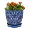 slide 3 of 9, Trendspot 6IN Mediterranean Blue Ceramic Planter, 6 in