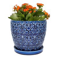 slide 9 of 9, Trendspot 6IN Mediterranean Blue Ceramic Planter, 6 in