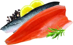 Filete De Pescado Salmon