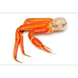 Fresh Frozen Snw Crab Clustrs Jumbo