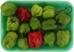 Green Habanero Pepper