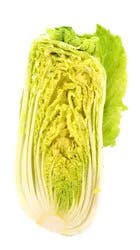 Nappa Cabbage