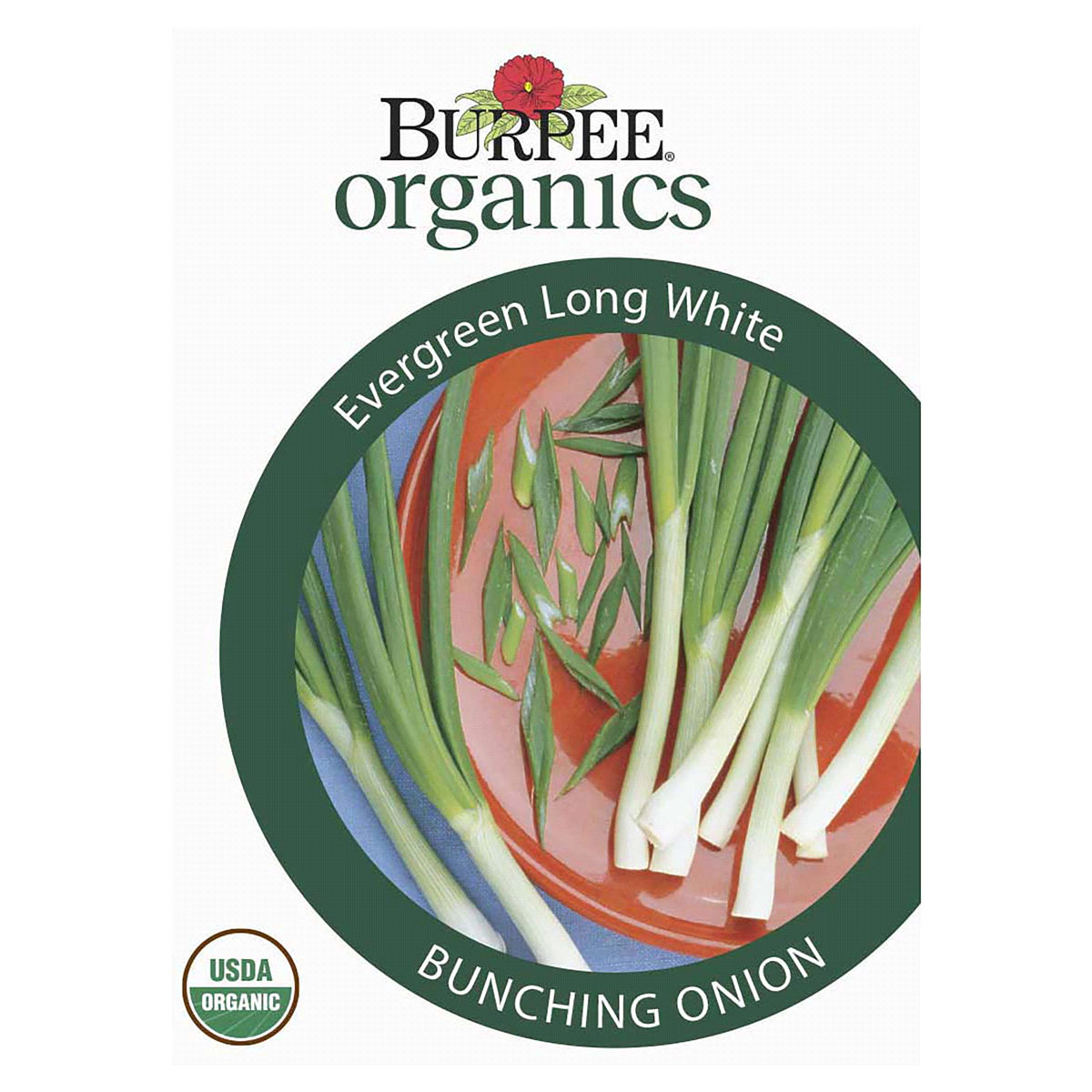 slide 1 of 5, Burpee Evergreen Organic Long White Bunching Onion Seeds, 1 ct