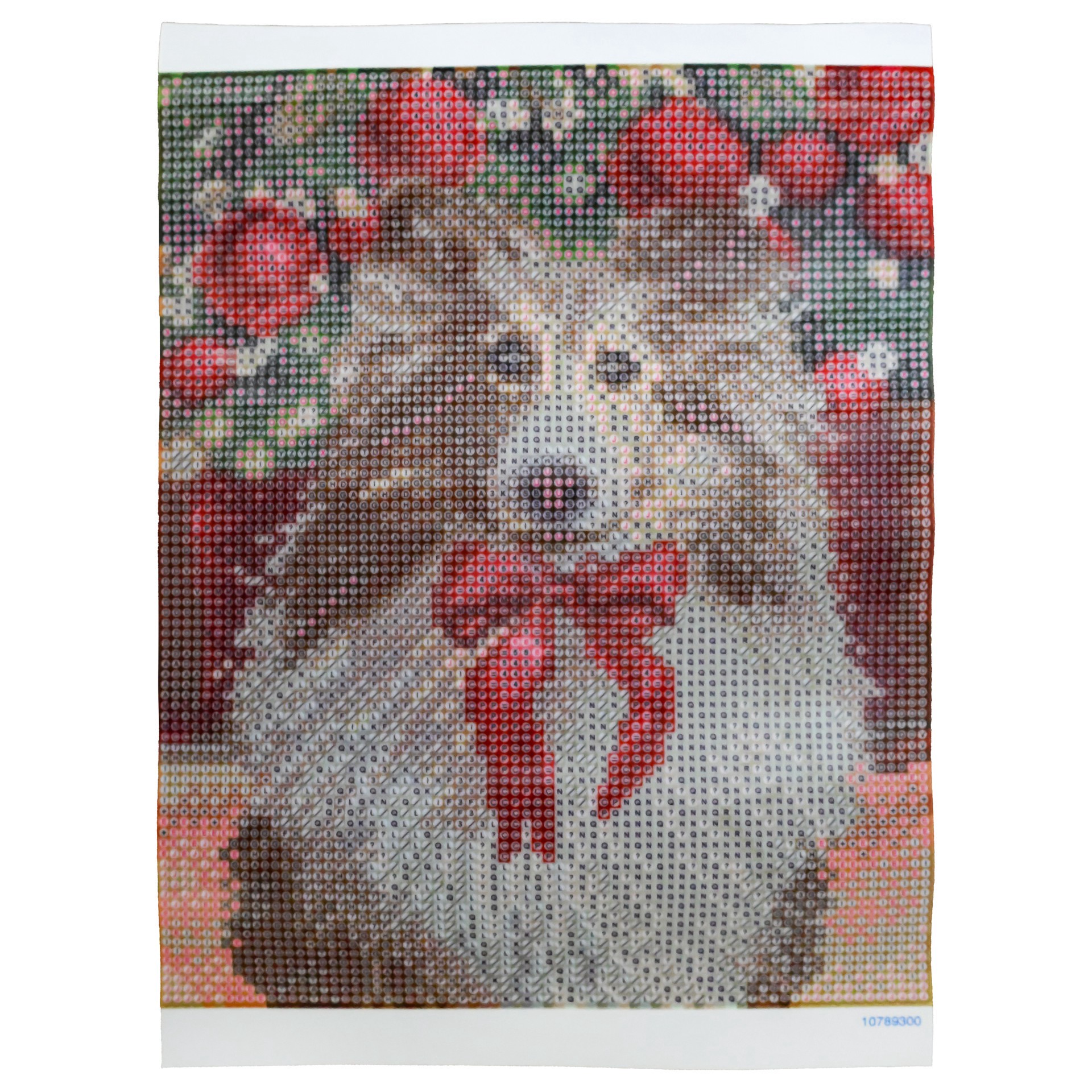 slide 2 of 4, 8" X 10" Collie Dog Diamond Art Kit With Frame By Make Market, 8 in x 10 in