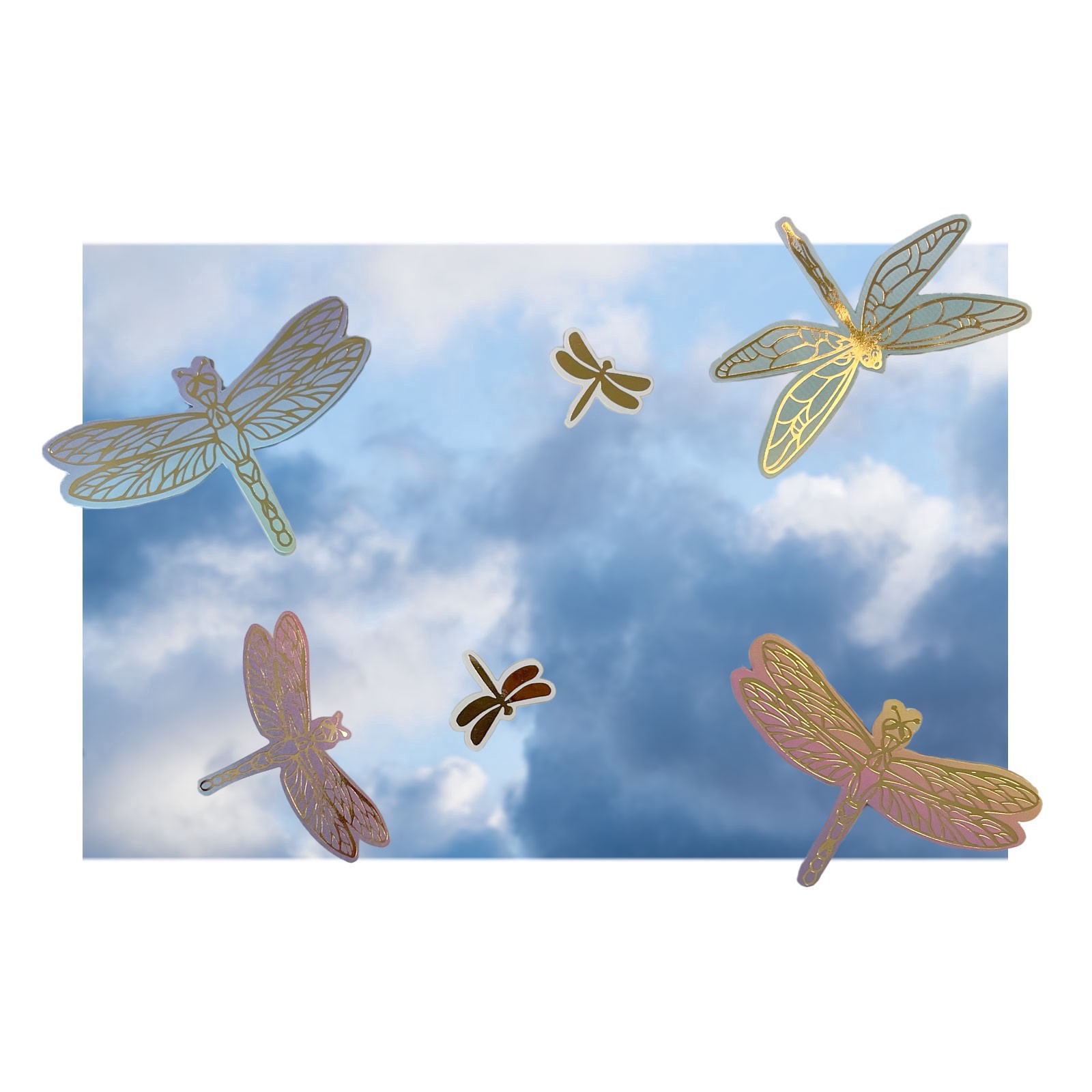 slide 5 of 5, Dragonfly Stickers By Recollections, 4 in x 8.5 in