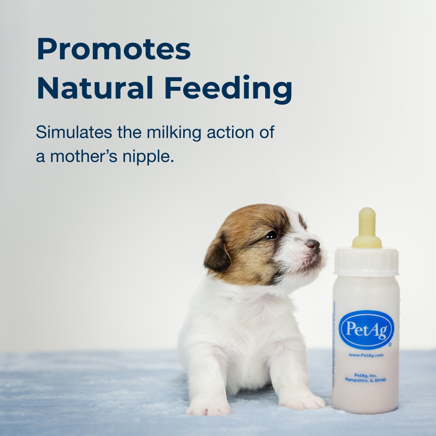 slide 5 of 5, Petag Pet Nursing Kit, 1 ct