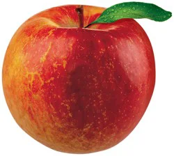 Antares Apple