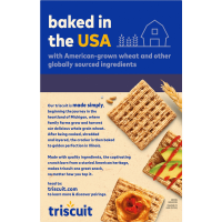 slide 4 of 13, Triscuit Crackers Everything Bagel Flavor - 8.5 oz, 8.5 oz