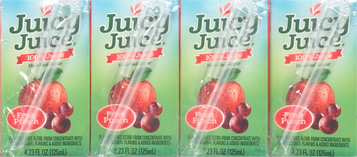 slide 2 of 9, Juicy Juice No Added Sugar Fruit Punch 100% Juice 4 - 4.23 fl oz Cartons, 4 ct