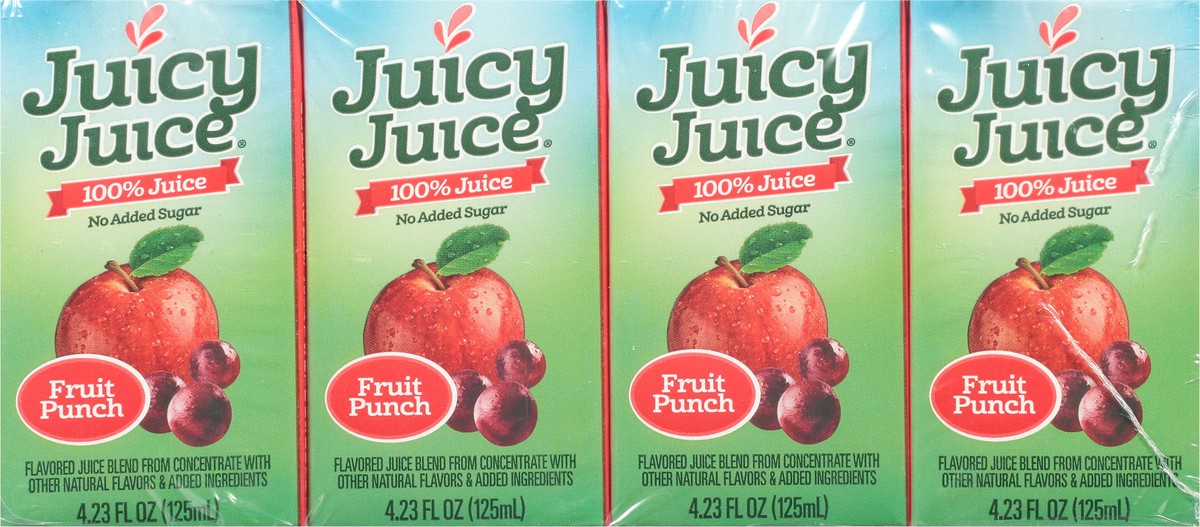 slide 9 of 9, Juicy Juice No Added Sugar Fruit Punch 100% Juice 4 - 4.23 fl oz Cartons, 4 ct