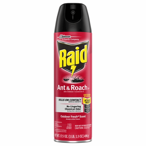 slide 1 of 1, Raid Ant & Roach Killer 17, Outdoor Fresh, 17.5 oz
