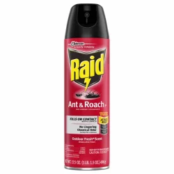 Raid Ant & Roach Killer 17, Outdoor Fresh
