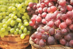 Red Seedless Grapes