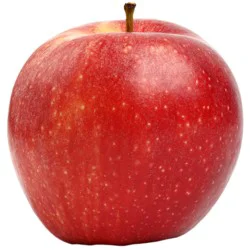 Apple - Fuji