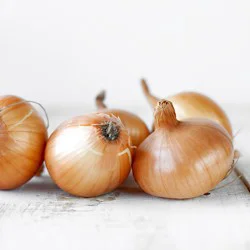 Sweet Onions