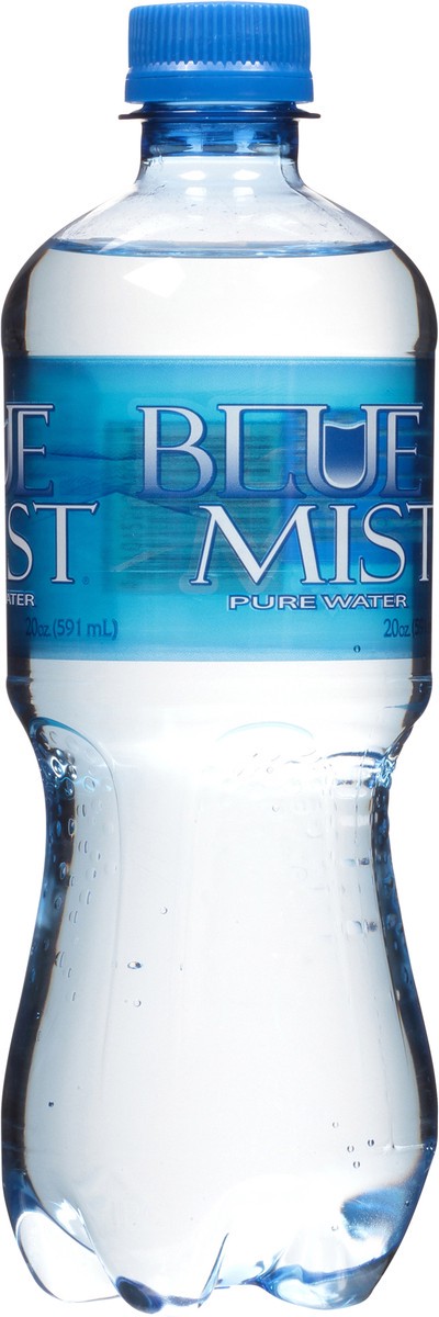 slide 6 of 11, Blue Mist Pure Water 20 oz. Bottle, 20 fl oz
