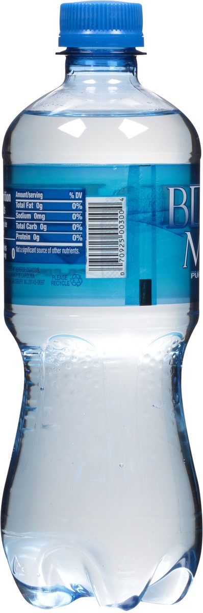 slide 5 of 11, Blue Mist Pure Water 20 oz. Bottle, 20 fl oz