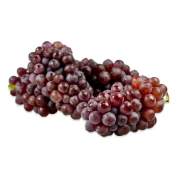 Crazy Donuts Glazed 6ct