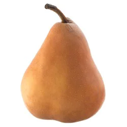 Pears - Bosc