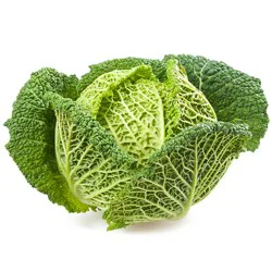 Cabbage - Savoy