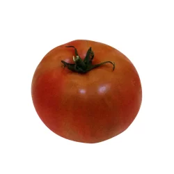 Produce Vine Tomatoes