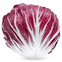 Radicchio