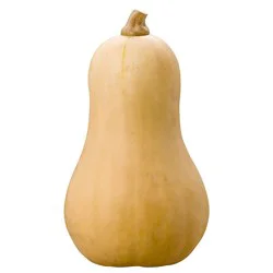 Squash - Butternut