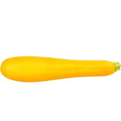Yellow Squash