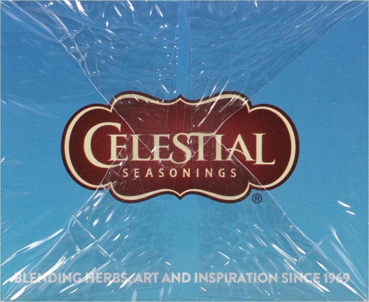 slide 2 of 8, Celestial Seasonings Tea Cold Brew Unsweetened - 18 ct, 18 ct