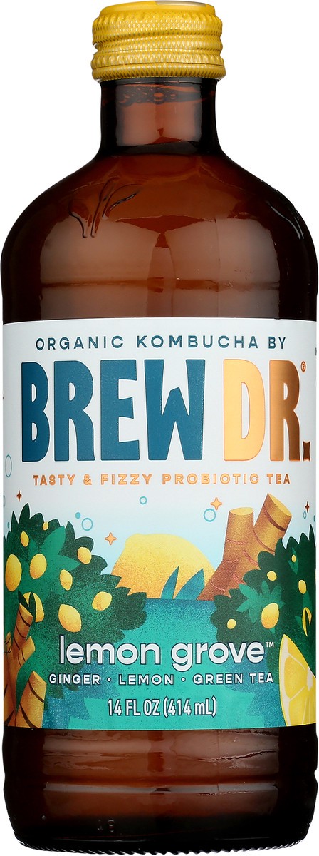 slide 5 of 9, Brew Dr. Brew Dr Kombucha Lemon Grove - 14 fl oz, 14 fl oz