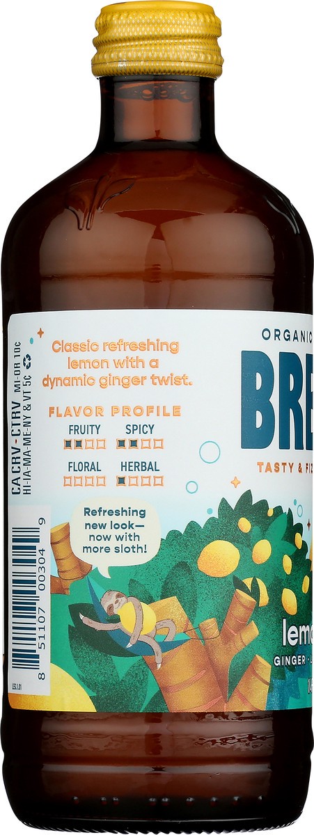 slide 7 of 9, Brew Dr. Brew Dr Kombucha Lemon Grove - 14 fl oz, 14 fl oz