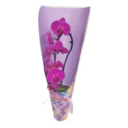 BLOOMS by H-E-B Orchid Tote