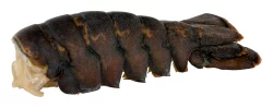 Maine Lobster Tails