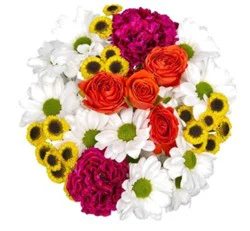 DIERBERGS FLOWERS & GIFTS SUMMER CHIC BOUQUET
