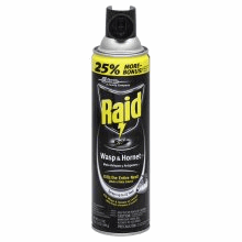 slide 1 of 1, Raid Wasp & Hornet Killer 33, 17.5 oz