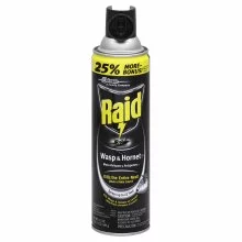 Raid Wasp & Hornet Killer 33