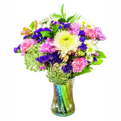 Delightful in Vase
