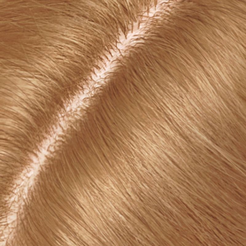 slide 2 of 9, Nice 'n Easy Clairol Root Touch-Up Permanent Hair Color - 7 Dark Blonde - 1 Kit, 1 ct