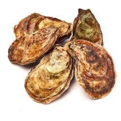 Market District Oysters, Wild Malpeque, Canada