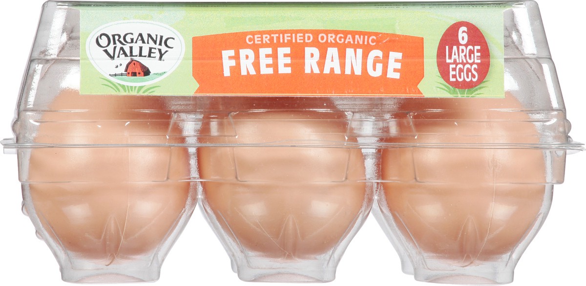slide 1 of 14, Organic Valley Large Brown Organic Eggs, 6 ct, 6 ct