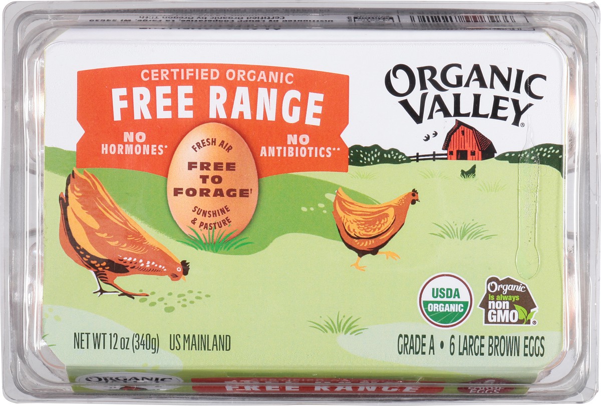 slide 13 of 14, Organic Valley Organic Large Brown Eggs, 6 ct