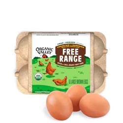 Organic Valley Large Brown Organic Eggs, 6 ct