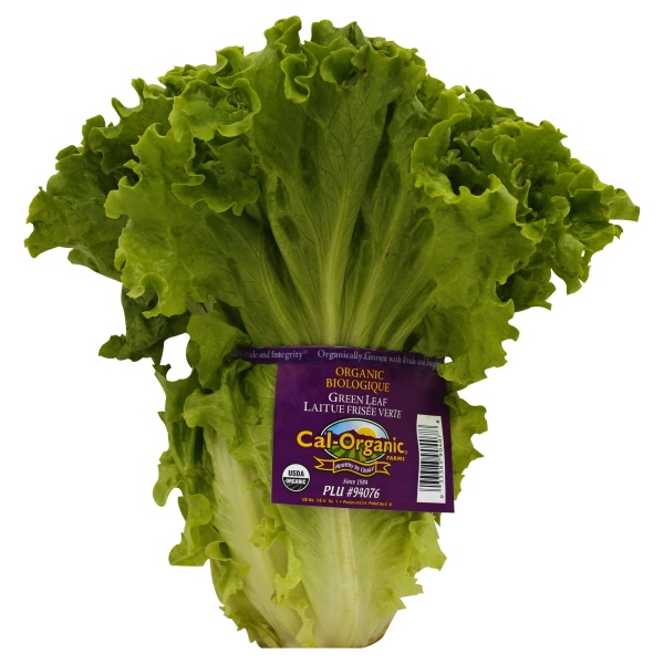 slide 1 of 1, Organic Green Leaf Lettuce, 1 ct