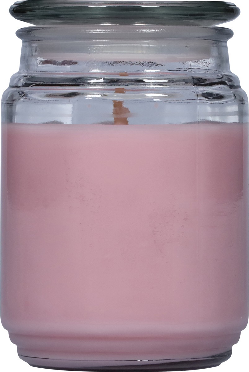 slide 2 of 9, Candle-Lite Candle Lite Pink Shoreline Candle 18 Ounces, 1 ct