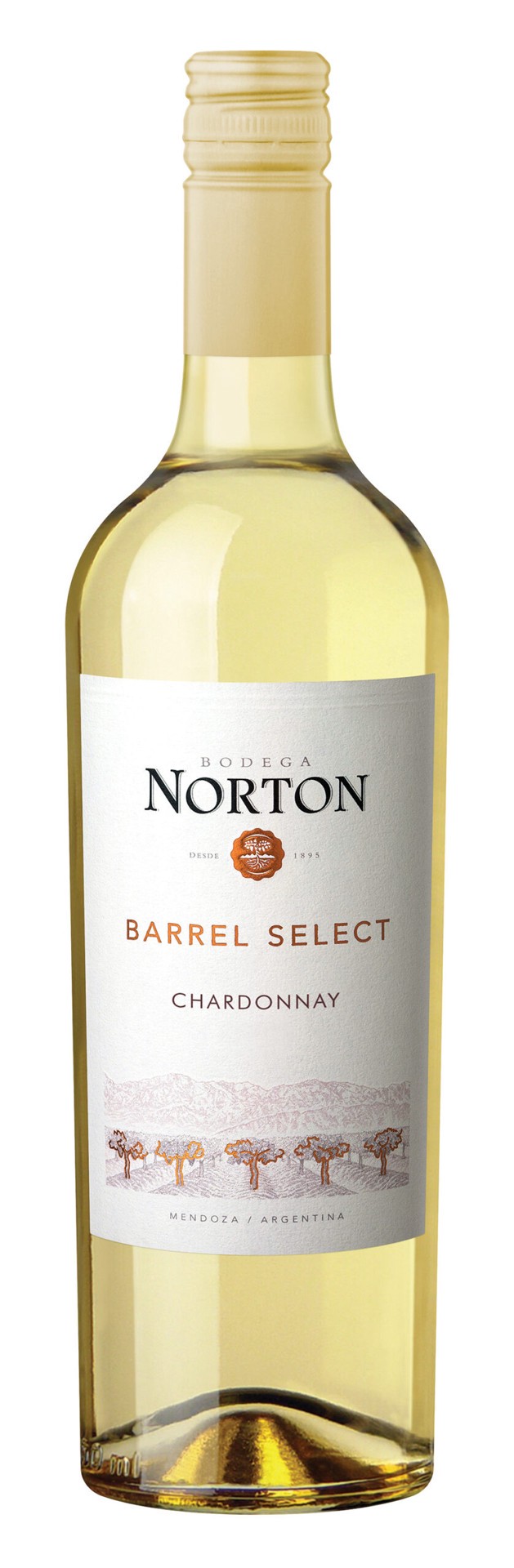 slide 1 of 5, Norton Chardonnay Select 2022 (750x12), 750 ml